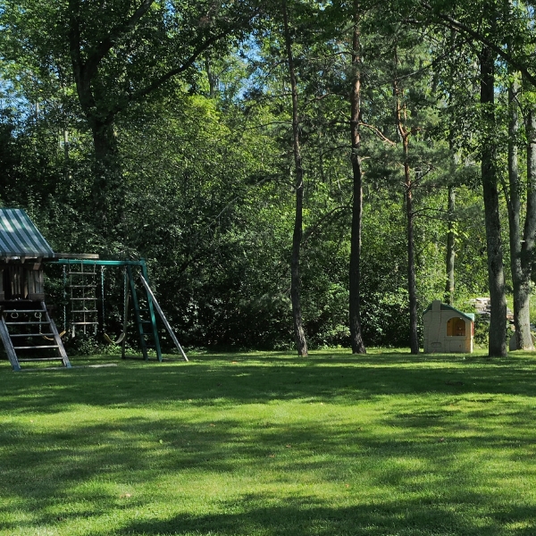Lyme Disease Awareness Where forest meets backyard