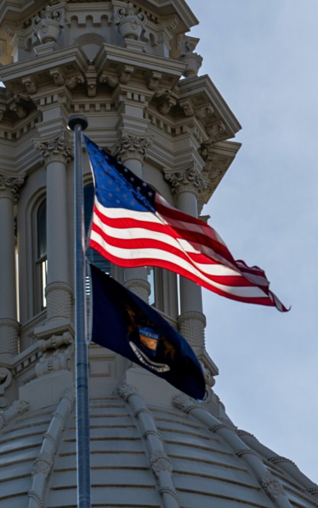 MI State flag