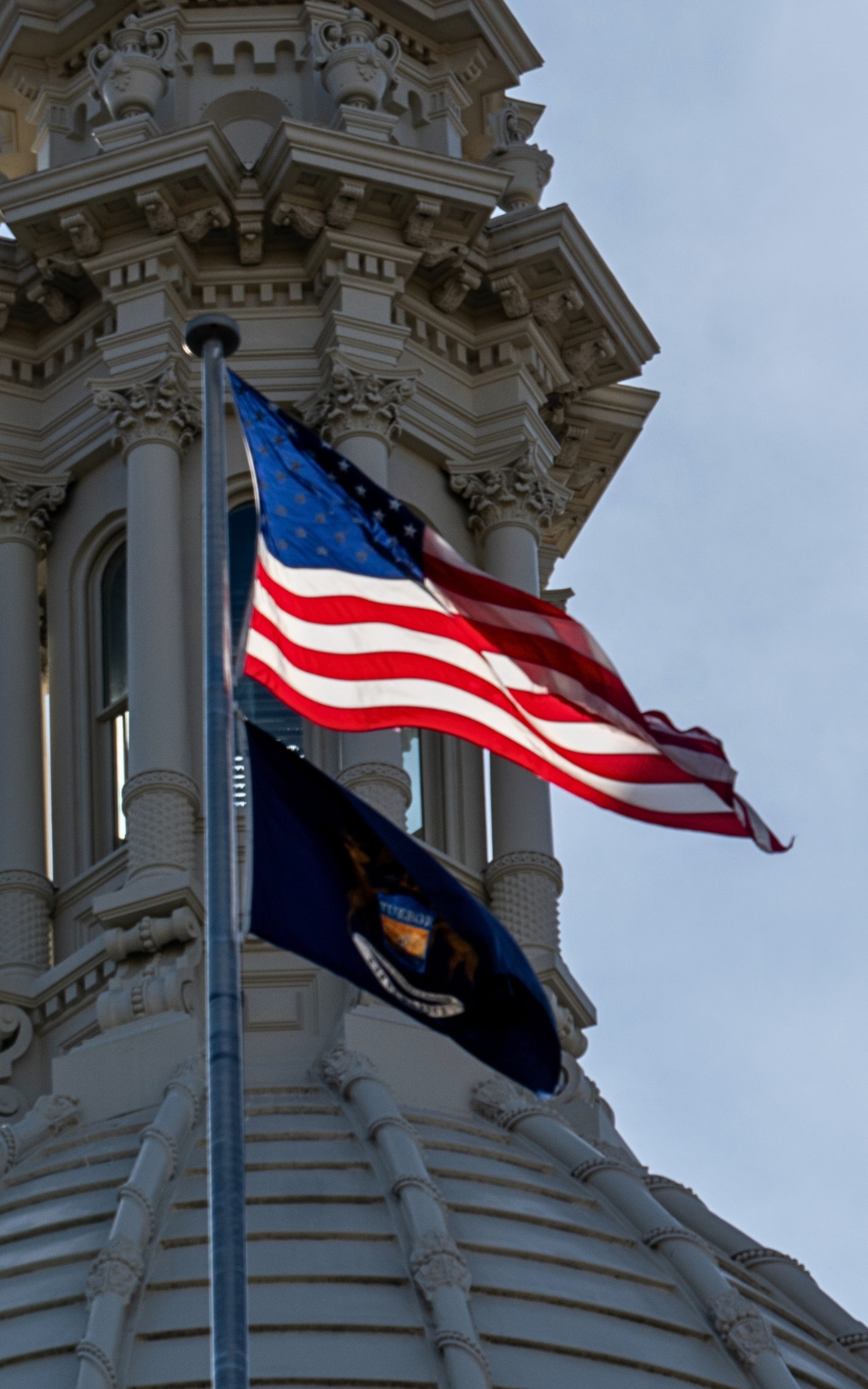 MI State flag
