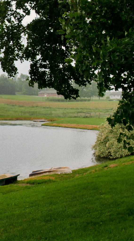 Professional Mosquito Control Company in Oak Park, PA.