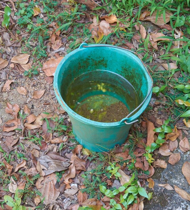 standing water