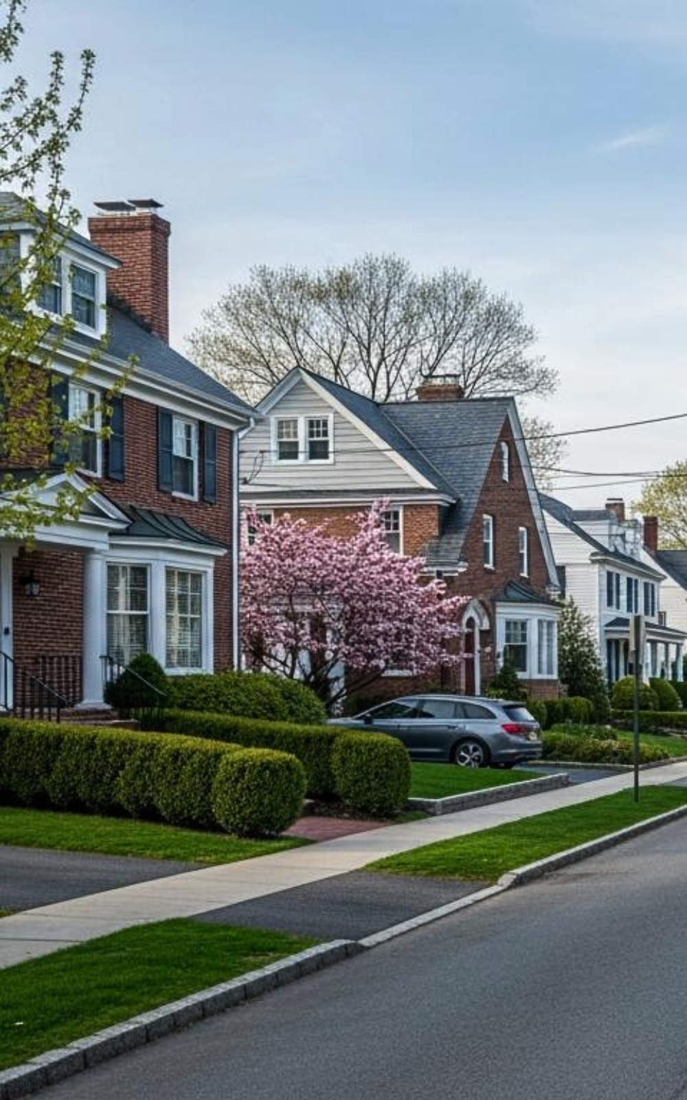 Bedford NY street Image Mosquito Shield of Long Island