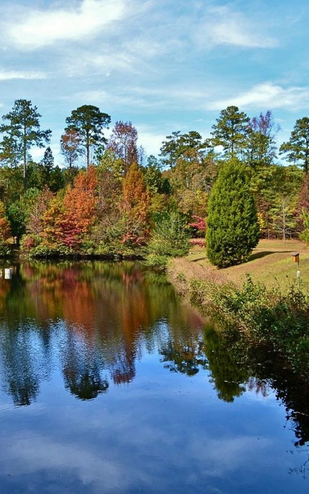 Clayton NC Park Image Mosquito Shield of Wake County Mobile version
