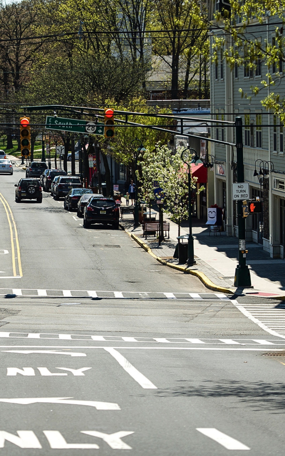 Fanwood NJ street image Mosquito Shield of East Central NJ