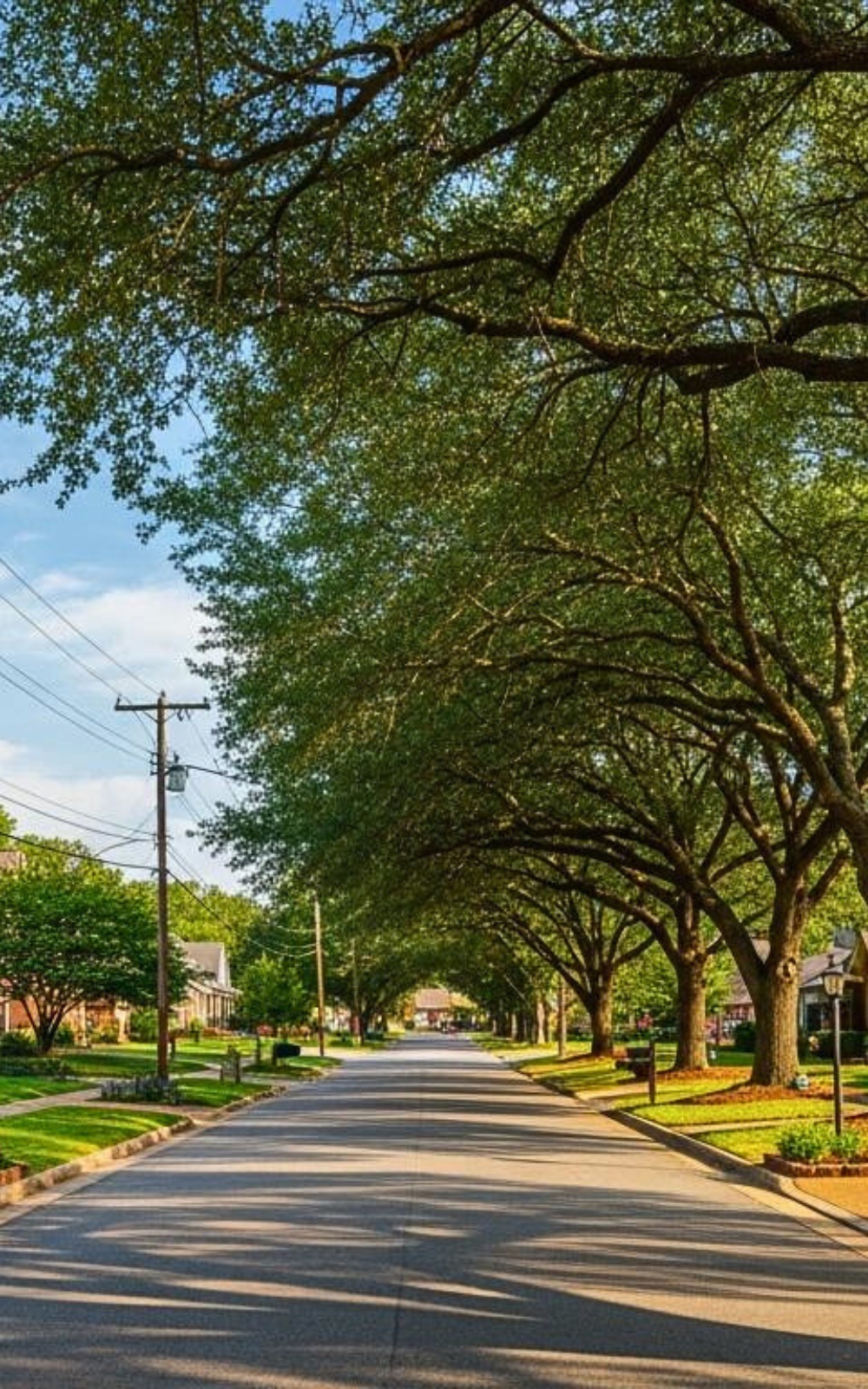 Hartselle AL street image Mosquito Shield