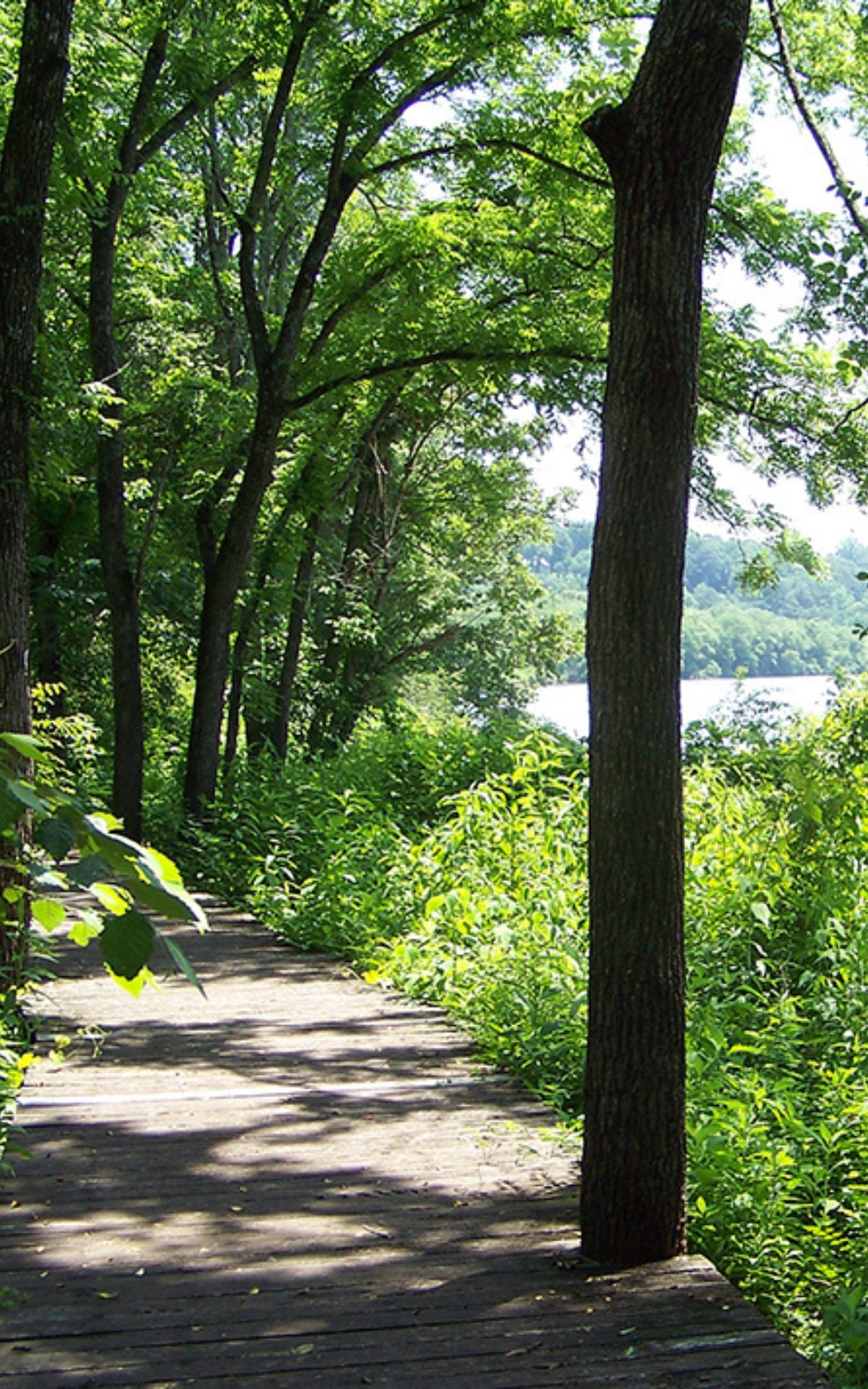 Marietta Riverwalk landmark photo Mosquito Shield Marietta