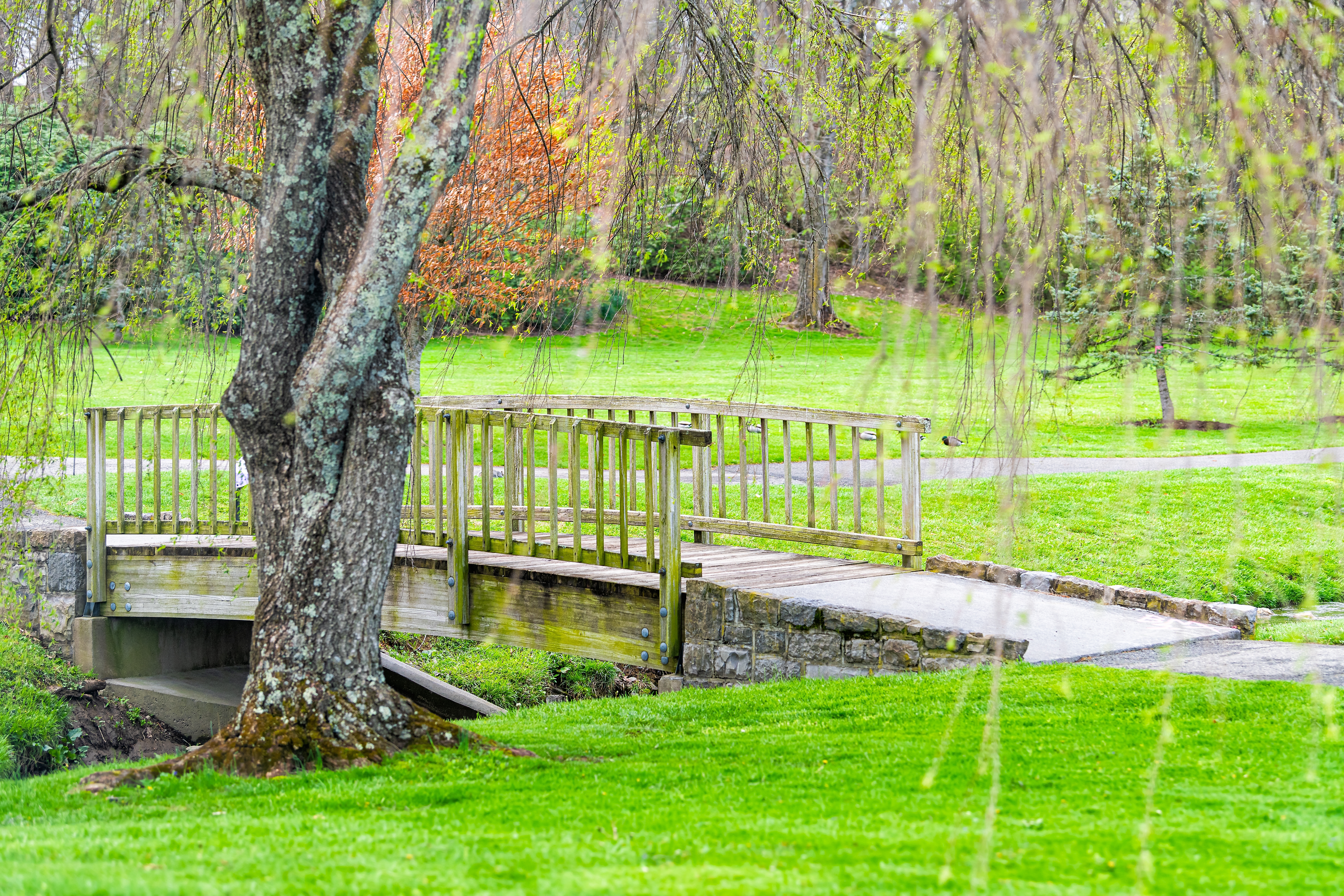 park