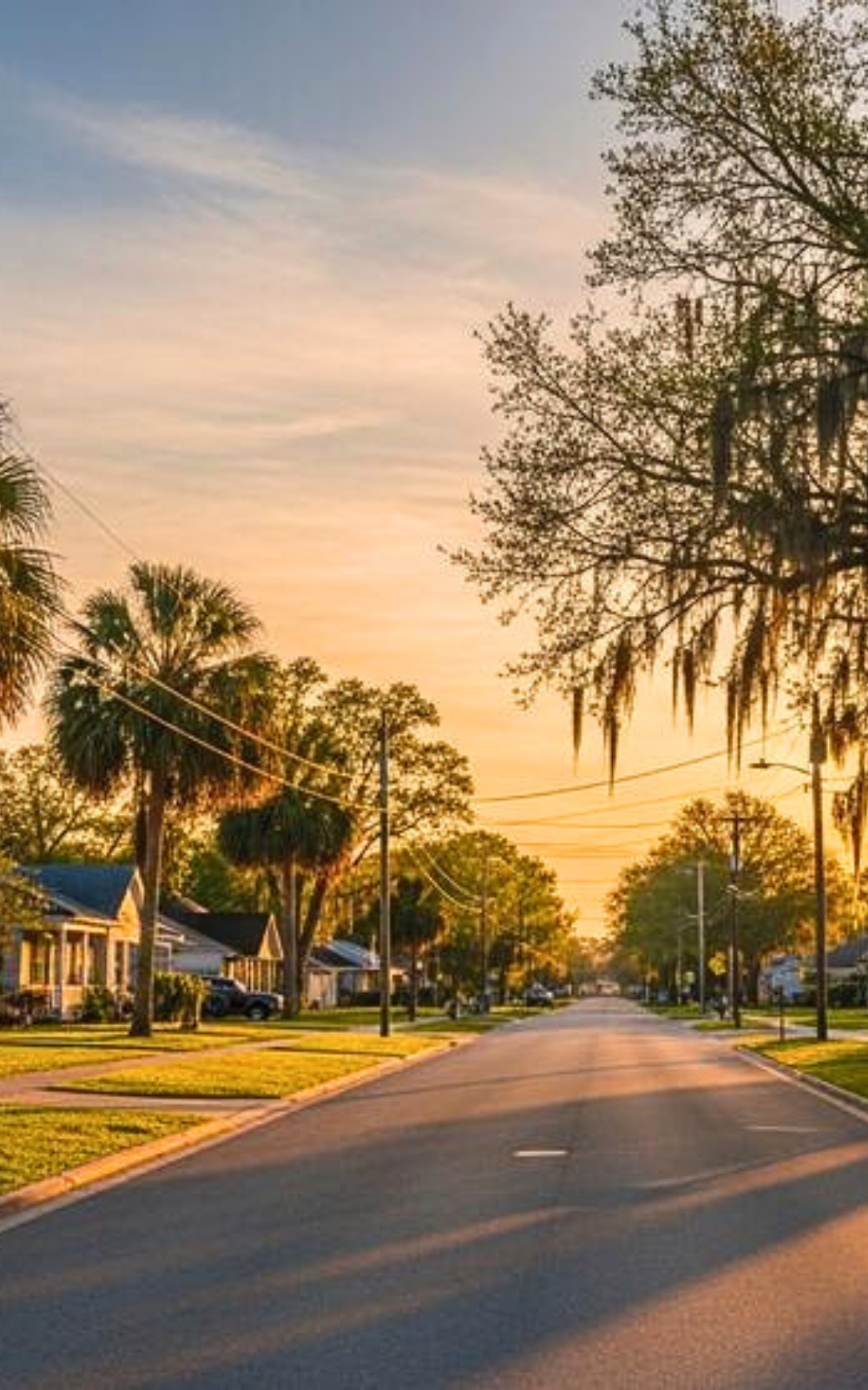 Crawfordville street Image Mosquito Shield Tallahassee