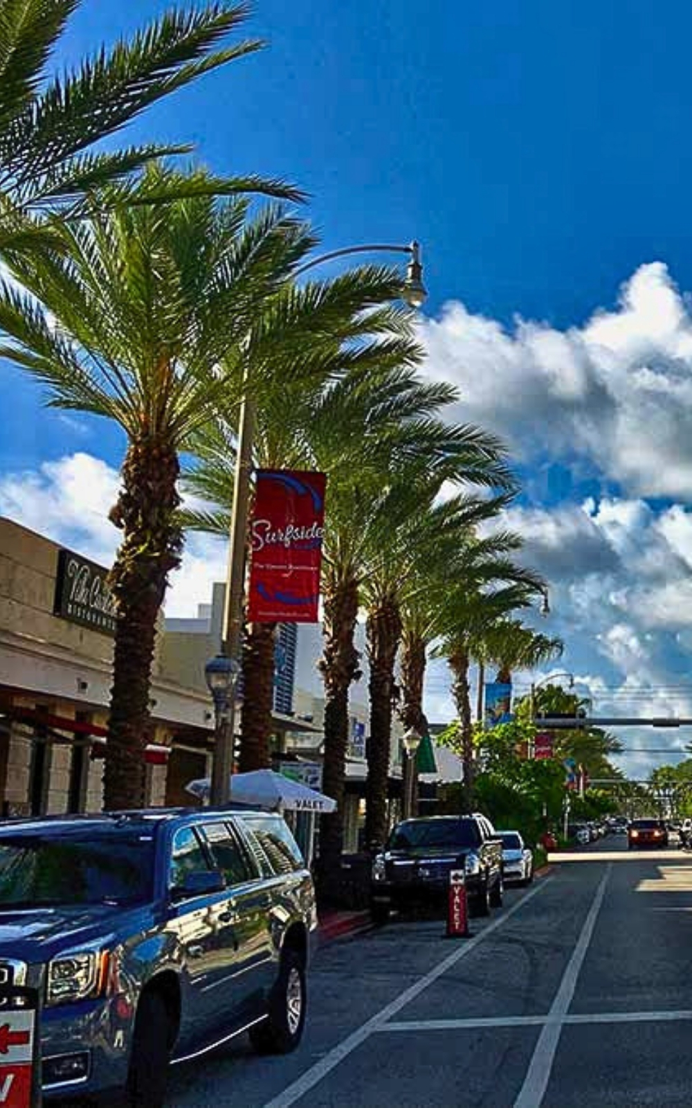 Surfside FL street Image Mosquito Shield Miami Beach