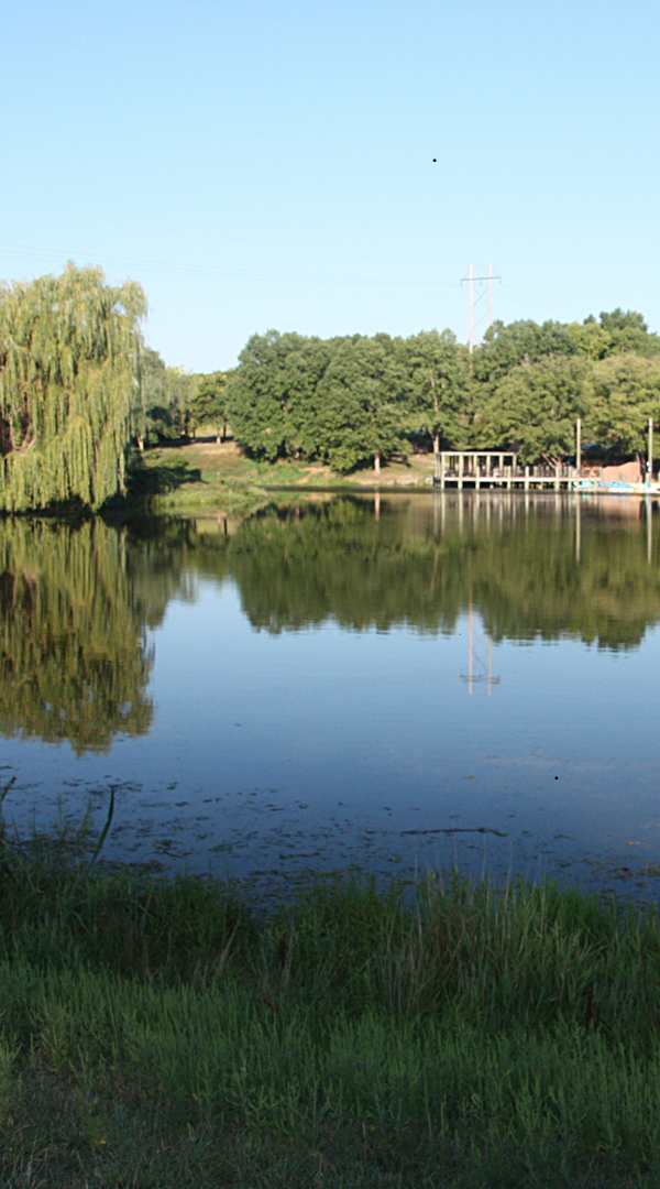 Professional Mosquito Control Company in Woodcliff, NE.