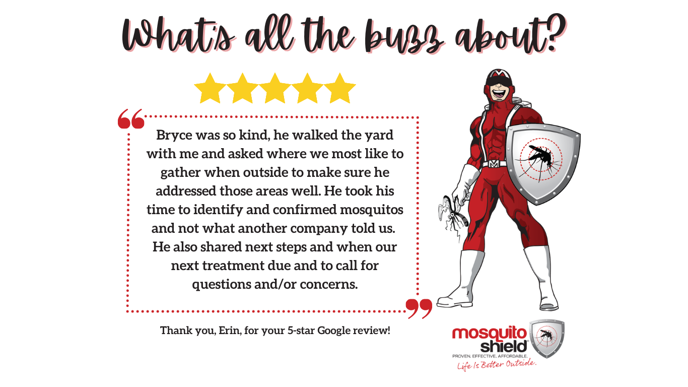 mosquito shield review