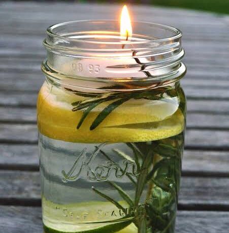 DIY Mosquito
