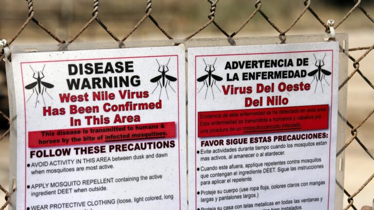 West Nile Virus Hero image Mosquito Shield of Marrieta GA